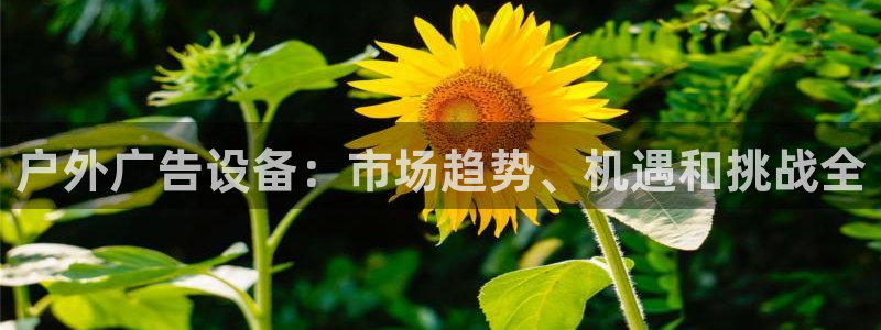 杏宇平台提现为什么这么久呢