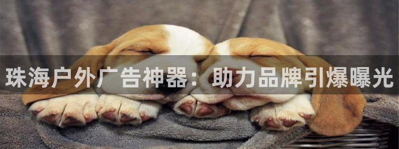 杏宇平台代理怎么样可靠吗