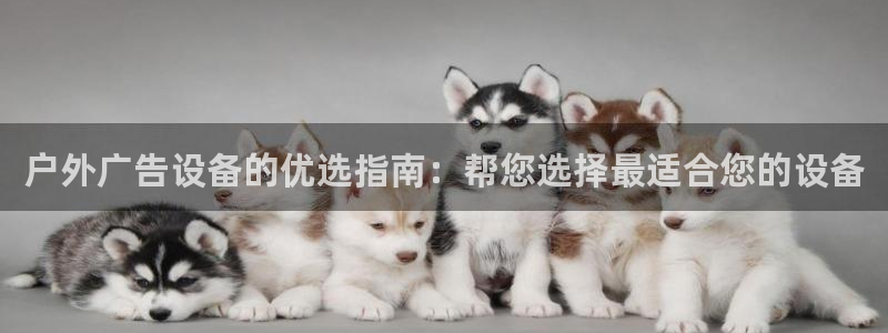 杏宇平台测速链接