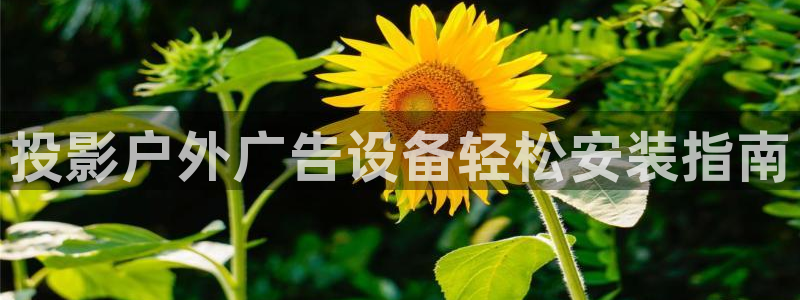 杏宇平台代理多少钱一个月