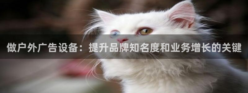 杏宇平台代理多少钱一次