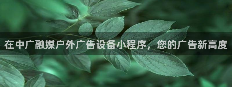 杏宇平台招商电话号码