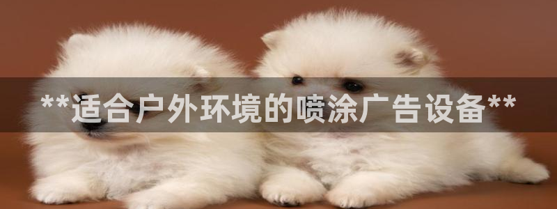 杏宇平台登录步骤是什么