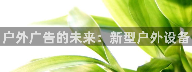 杏宇官方平台官网入口