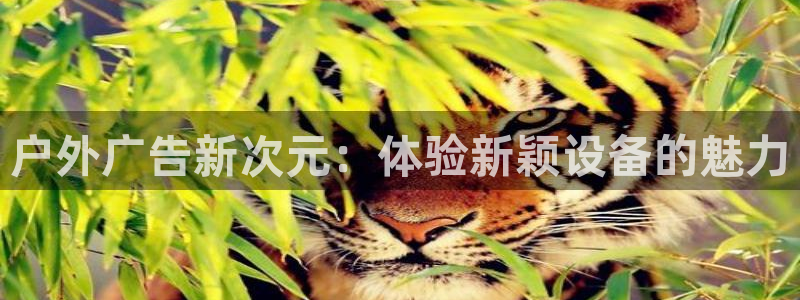 杏宇平台登录方法