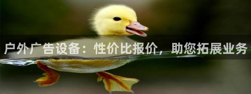 杏宇平台是什么