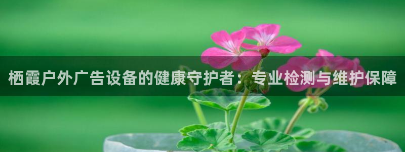 杏宇平台注册地址
