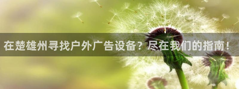 杏宇平台代理怎么样啊