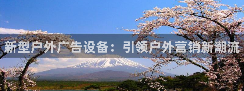 杏宇代理注册