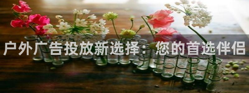 杏宇平台登陆