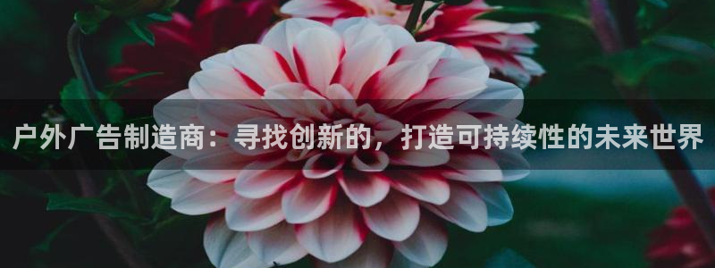 杏宇平台怎么样赚钱