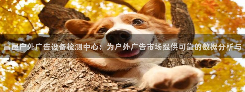 杏宇平台代理多少钱一个：昌邑户外广告设备