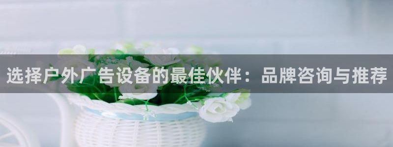 杏宇平台注册地址在哪里：选择户外广告设备的最佳伙伴：品牌咨询与推荐