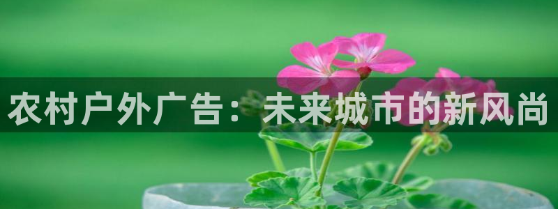 杏宇平台注册地址在哪里：农村户外广告：未
