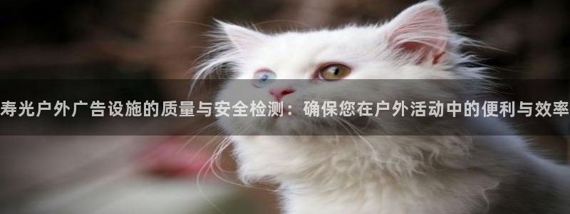 杏宇平台代理怎么样啊：寿光户外广告设施的质量与安全检测：确保您在户外活动中的便利与效率