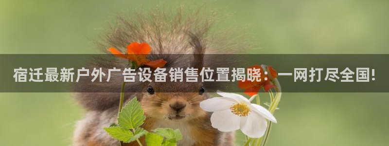 杏宇平台怎么样知乎