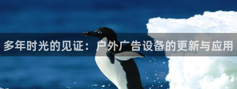 杏宇平台代理怎么赚钱快：多年时光的见证：