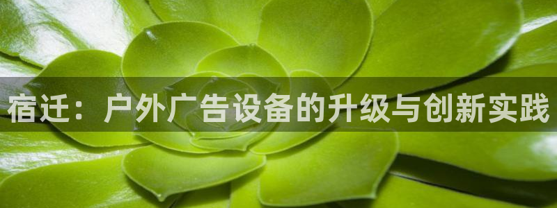 杏宇平台代理多少钱一个月：宿迁：户外广告