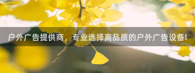 杏宇平台代理怎么样可靠吗：户外广告提供商