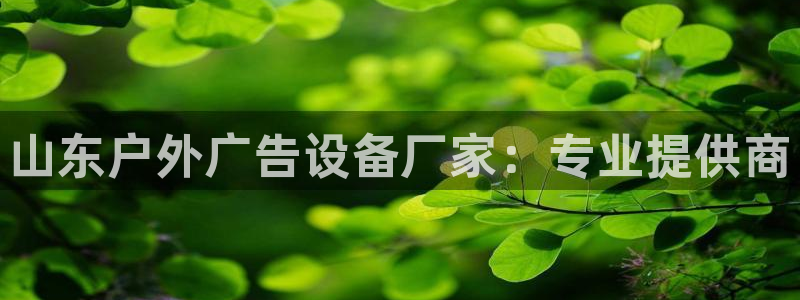 杏宇平台代理怎么赚钱快：山东户外广告设备