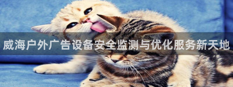 杏宇平台怎么样：威海户外广告设备安全监测