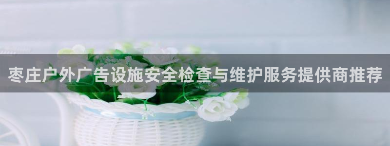 杏宇平台招商：枣庄户外广告设施安全检查与维护服务提供商推荐