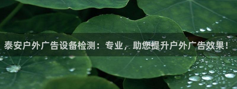 杏宇平台注册地址：泰安户外广告设备检测：专业，助您提升户外广告效果！
