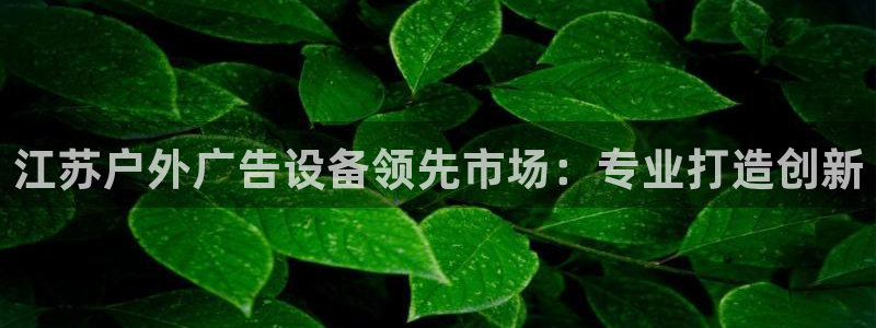 杏宇平台代理怎么样可靠吗：江苏户外广告设备领先市场：专业打造创新