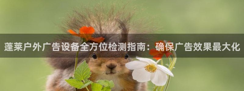 杏宇平台招商怎么样