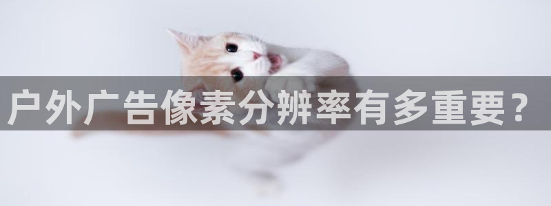 杏宇平台怎么样