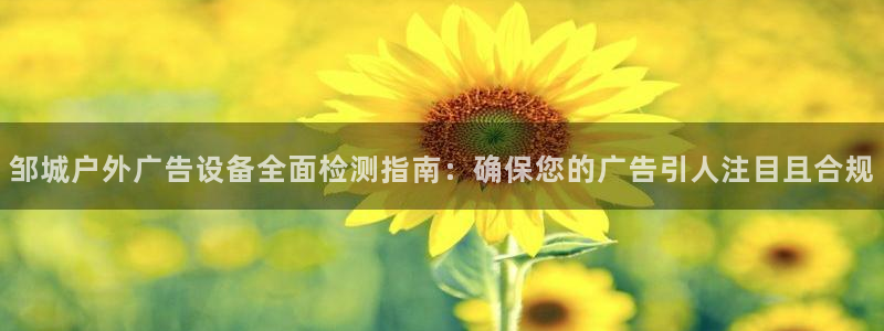 杏宇平台代理怎么赚钱：邹城户外广告设备全面检测指南：确保您的广告引人注目且合规