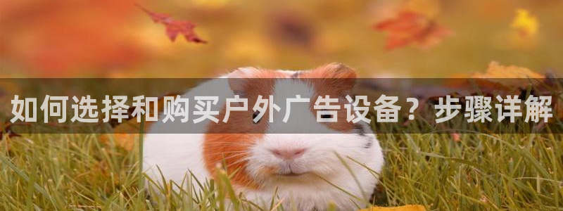 杏宇平台注册登录：如何选择和购买户外广告设备？步骤详解