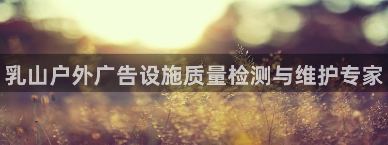 杏宇平台是什么：乳山户外广告设施质量检测与维护专家