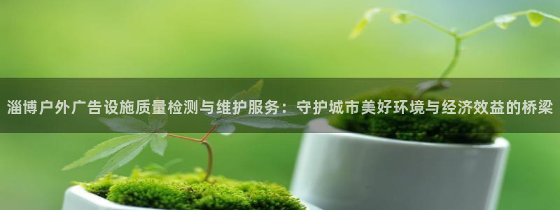 杏宇平台登录步骤是什么：淄博户外广告设施质量检测与维护服务：守护城市美好环境与经济效益的桥梁