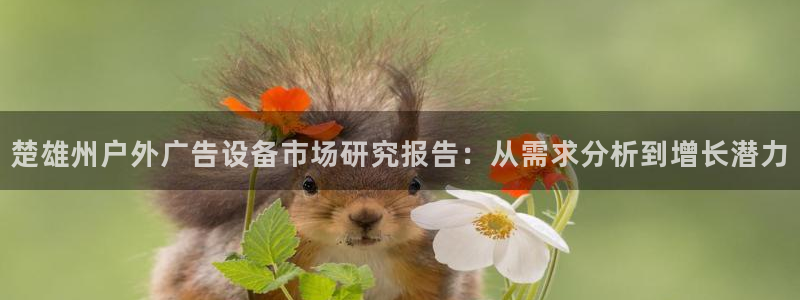 杏宇平台代理多少钱一次：楚雄州户外广告设备市场研究报告：从需求分析到增长潜力