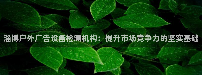杏宇平台注册登录：淄博户外广告设备检测机构：提升市场竞争力的坚实基础