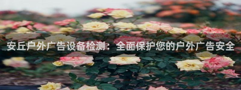 杏宇平台代理怎么样赚钱：安丘户外广告设备检测：全面保护您的户外广告安全