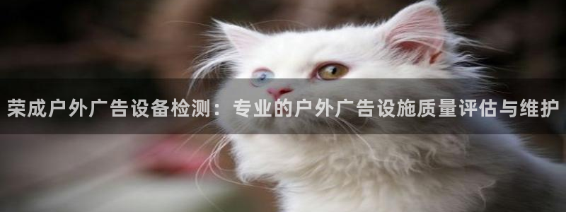 杏宇平台代理多少钱一个月：荣成户外广告设