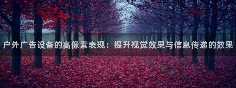 杏宇平台是什么