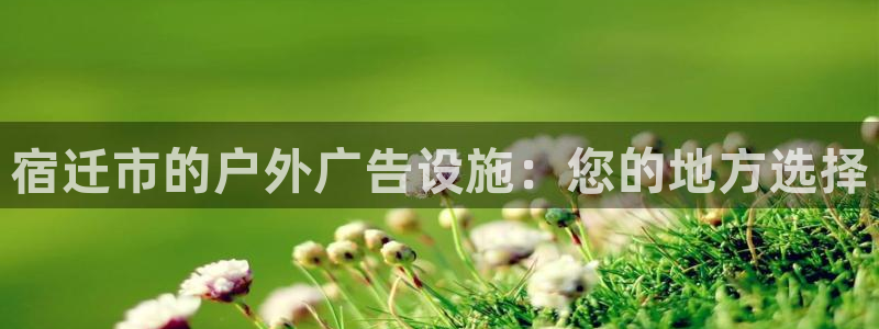 杏宇平台总代理电话：宿迁市的户外广告设施