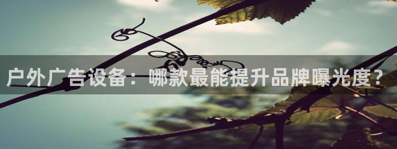 杏宇平台官网注册