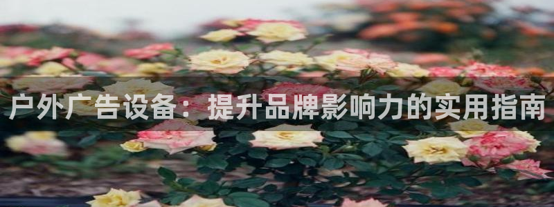 杏宇平台注册地址