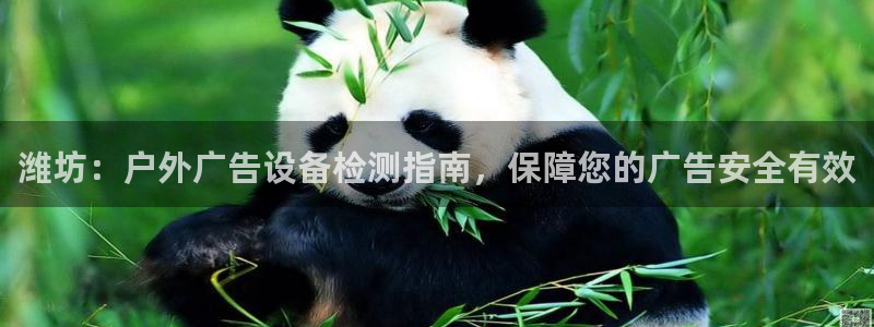 杏宇平台代理多少钱