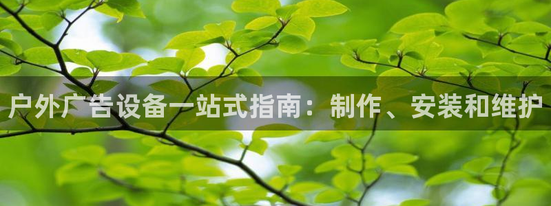杏宇官方平台官网入口
