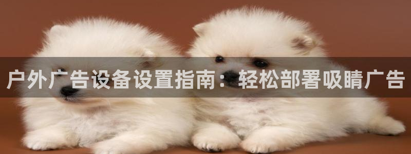 杏宇官方平台官网入口