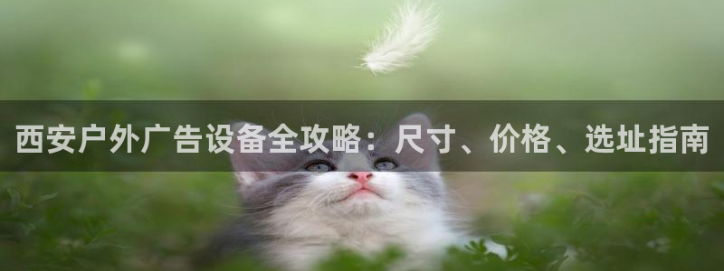 杏宇官方平台官网下载