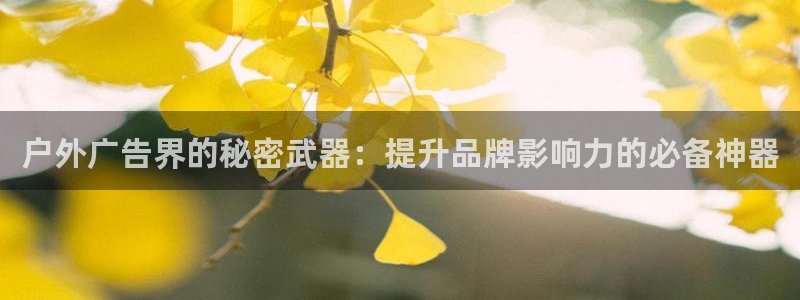 杏宇平台注册地址在哪里