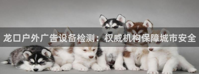 杏宇平台代理怎么样赚钱