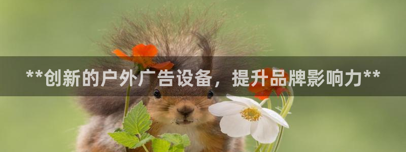 杏宇平台官网注册：**创新的户外广告设备，提升品牌影响力**