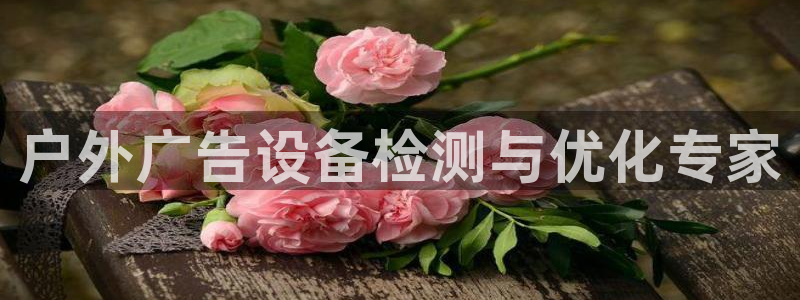 杏宇平台代理怎么样：户外广告设备检测与优化专家